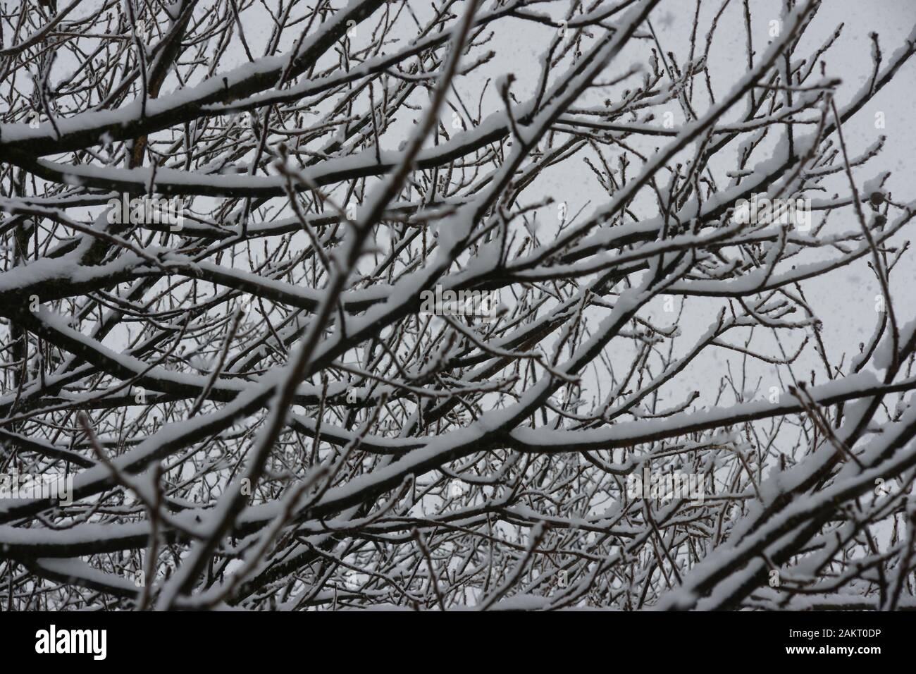 Paesaggi innevati Foto Stock