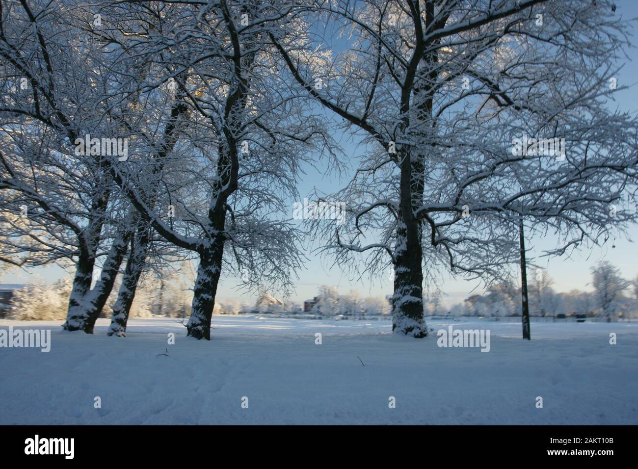 Coperte di neve paesaggio dello Yorkshire Foto Stock