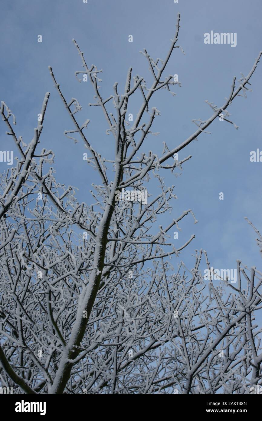 Paesaggi innevati Foto Stock