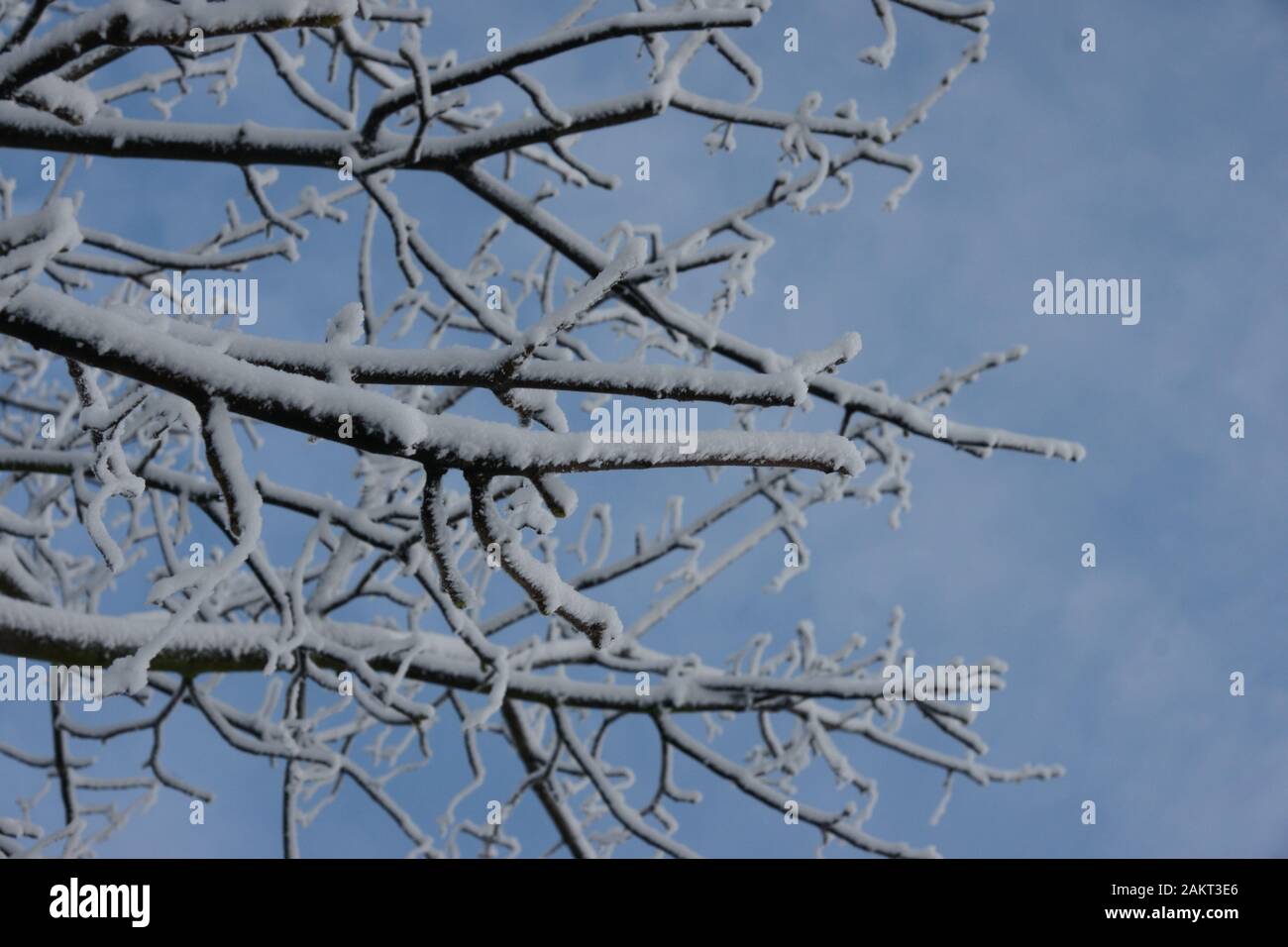 Paesaggi innevati Foto Stock