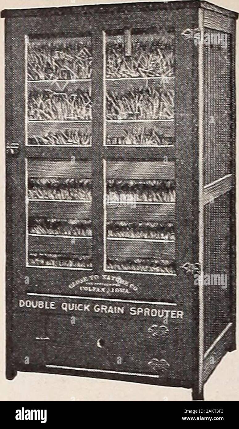 Il pollame di fantasia . ve ha diritto a hisprotection. Per ulteriori informazioni in merito a thisdiscovery sarà trovato nel fullpage Ultima occasione annuncio delcarrello una grande carta di pollame in Amer ica-AMERICAN POULTRYJOURNAL 544 F. So. Deaborn St.,Chicage, 111. Dont non riescono a guardare unin questo problema. Che ti farà risparmiare manydollars. Se non l'avete già preso ad-Vantage della grande offerta essendo madeby il pollame americana ufficiale, theone grande carta di pollame d'America,è necessario farlo ora. Il numero di novembre di questo greatpublication era un Jim dandy. Itcontained due dei migliori colorato pic-tures di Foto Stock