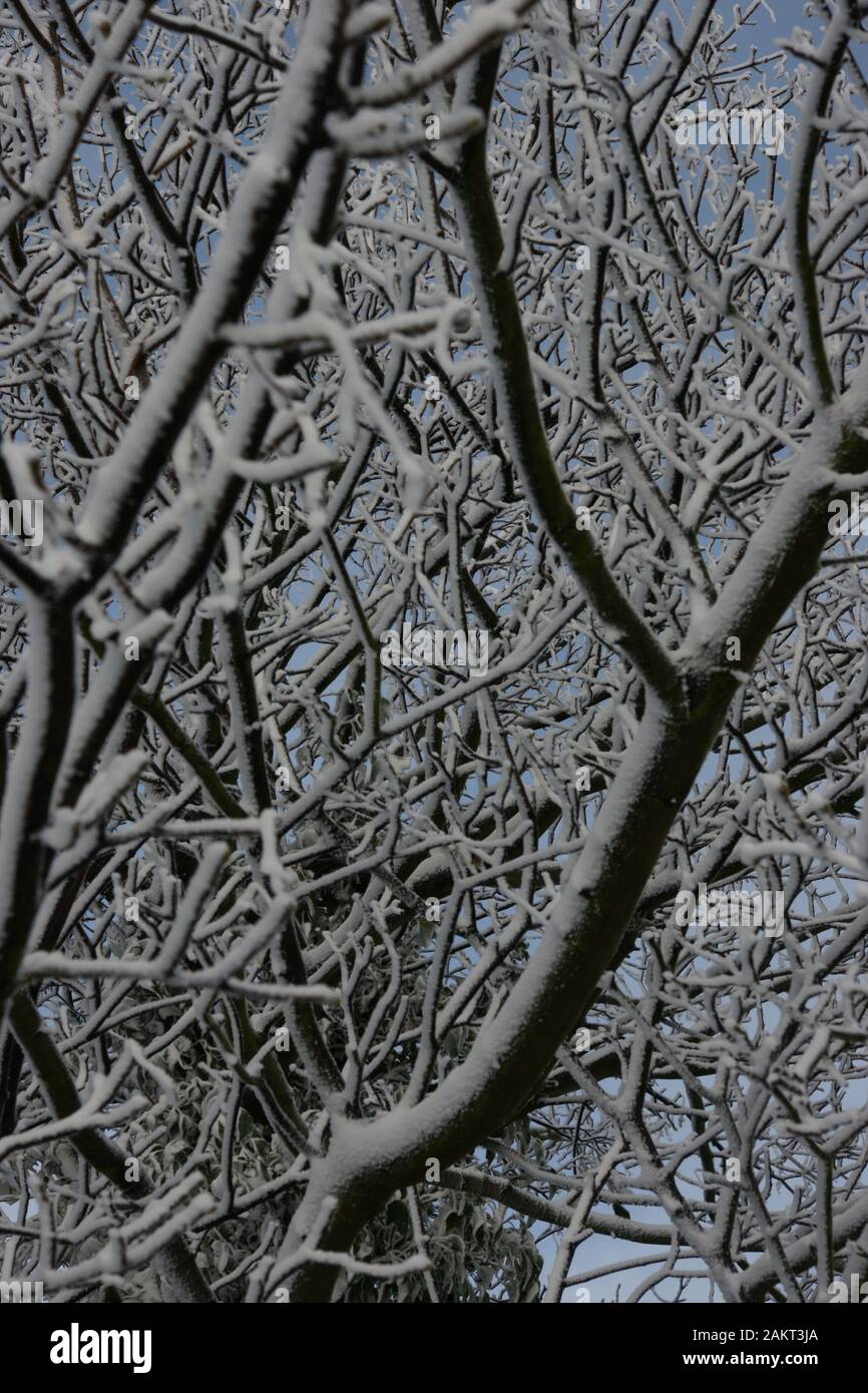 Paesaggi innevati Foto Stock