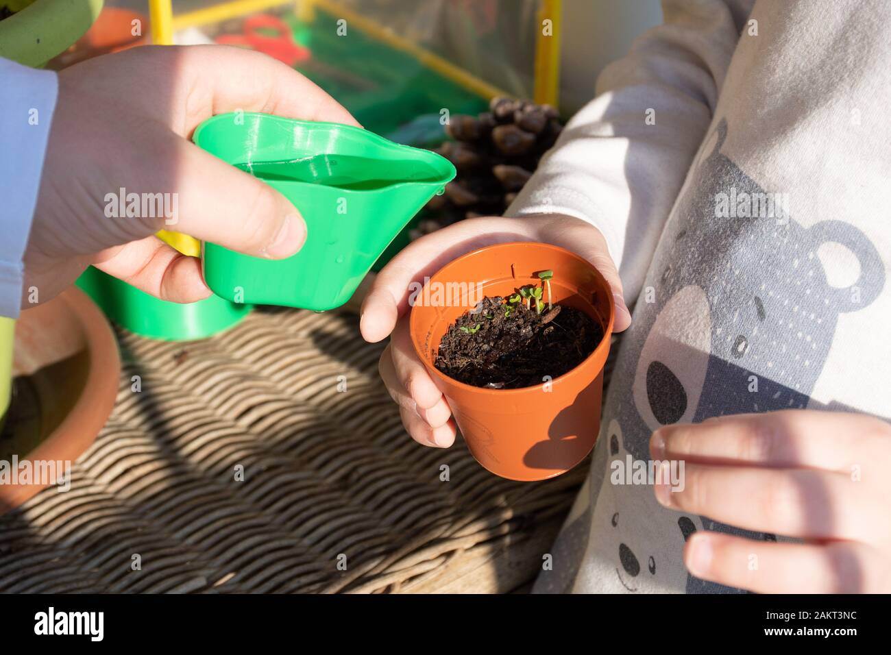 Due bambini acqua una pianta in un vaso piccolo Foto Stock