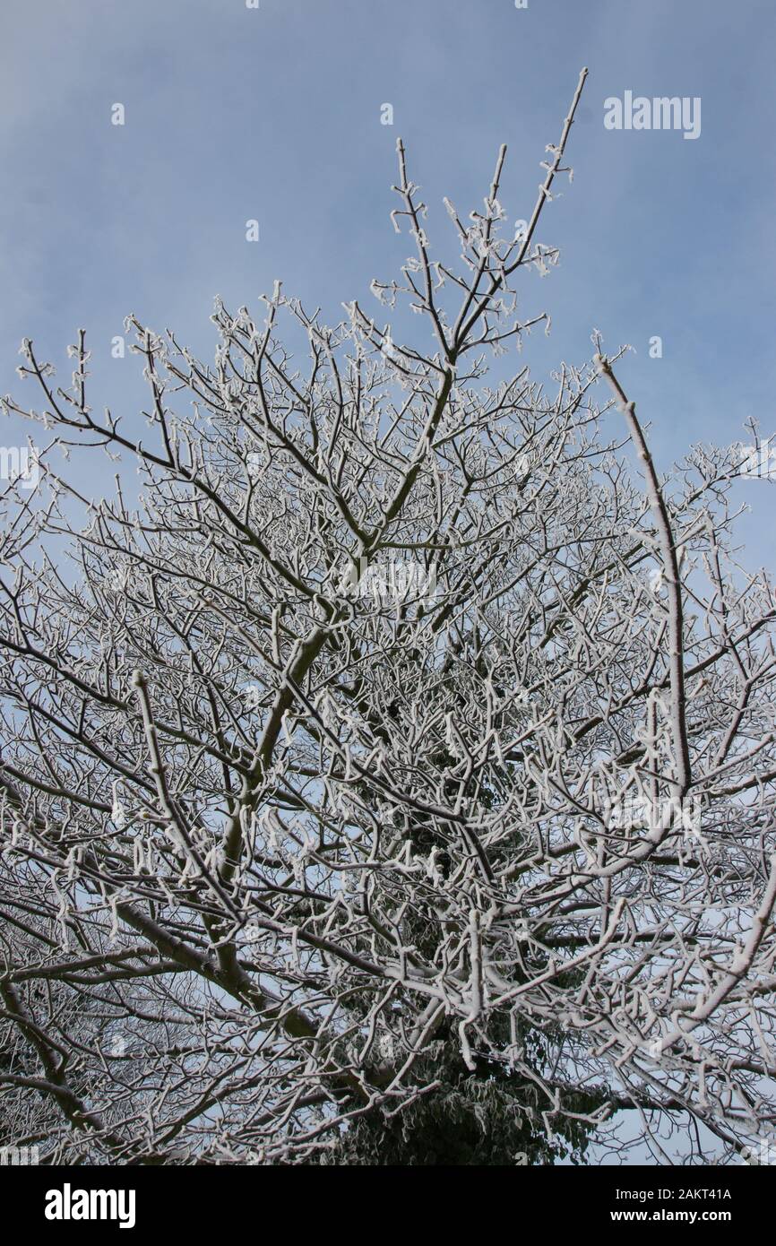 Paesaggi innevati Foto Stock