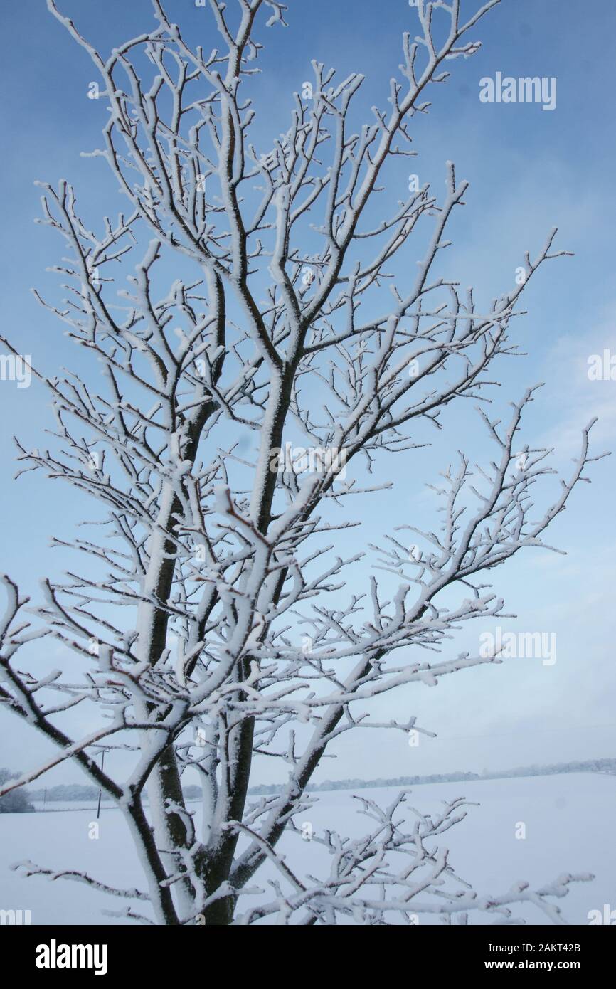 Paesaggi innevati Foto Stock