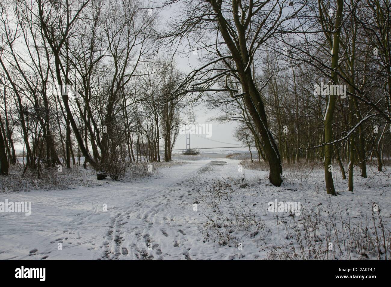 Paesaggi innevati Foto Stock