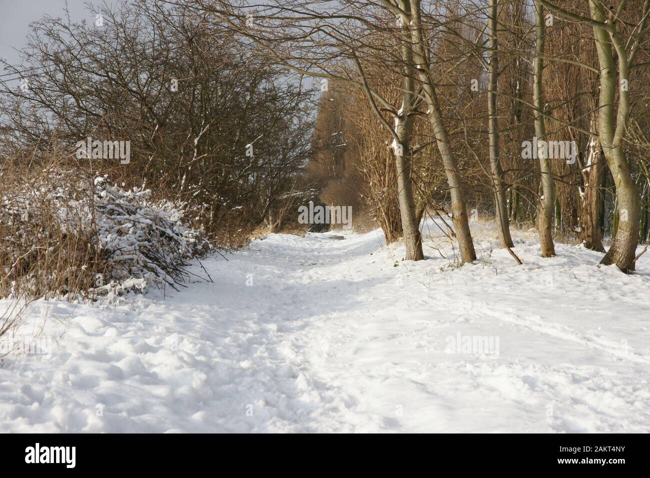 Paesaggi innevati Foto Stock