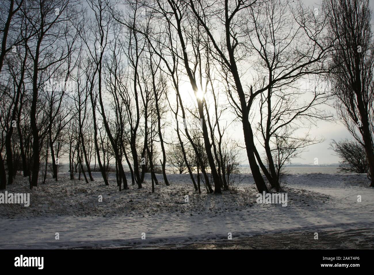 Coperte di neve paesaggio dello Yorkshire Foto Stock