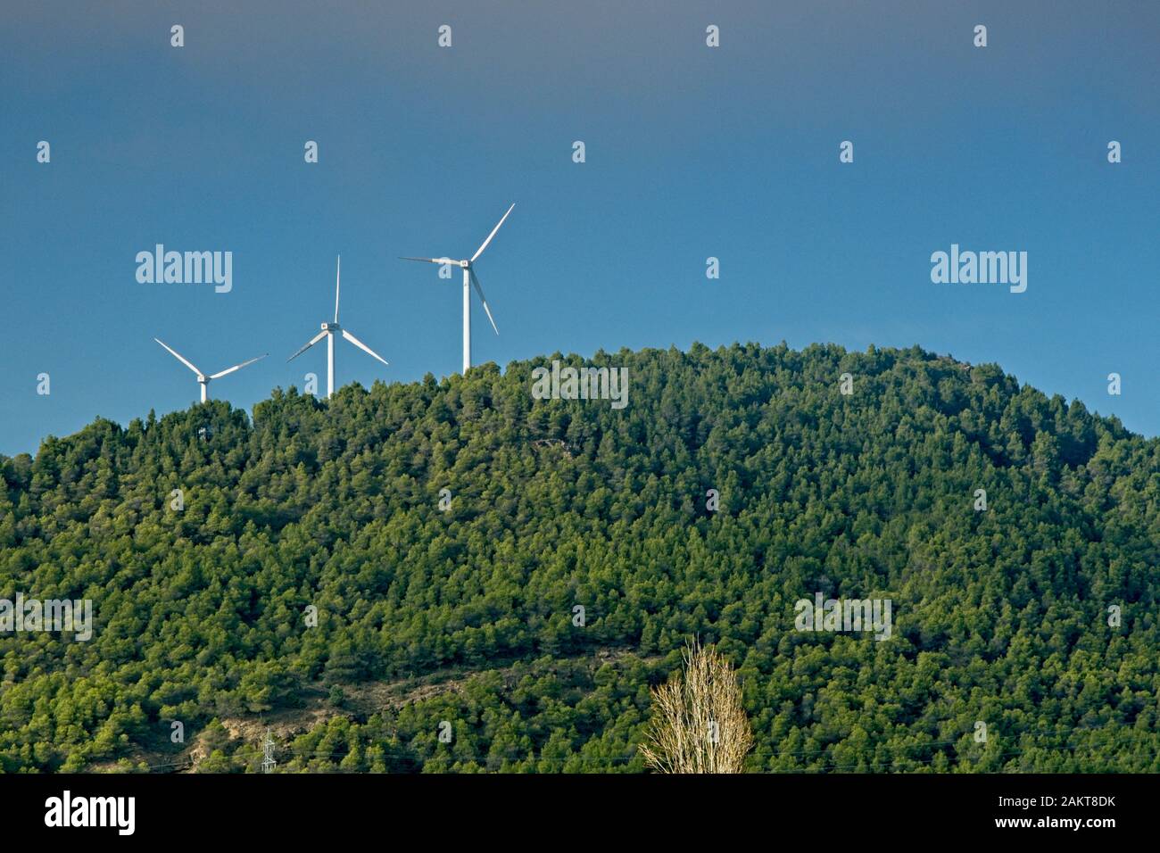 Turbina eolica e foresta su una collina. Foto Stock