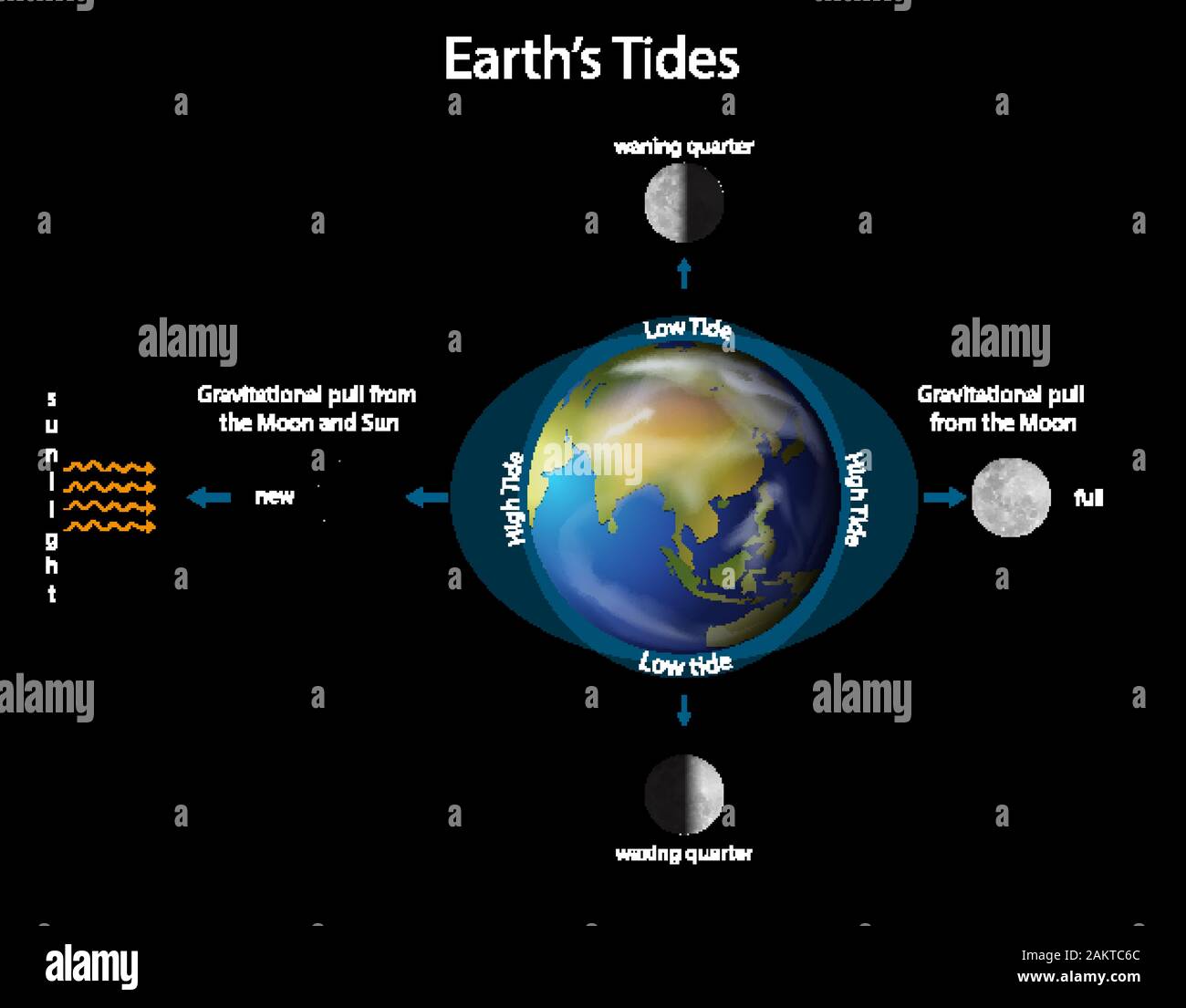 Diagramma che mostra la terra delle maree con la terra e la luna illustrazione Illustrazione Vettoriale