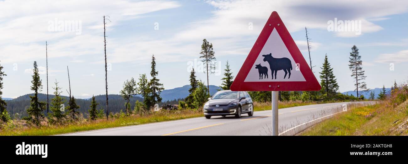 Segnale stradale di avvertimento di pecora lungo la strada in Norvegia. Attenzione alle pecore! Foto Stock