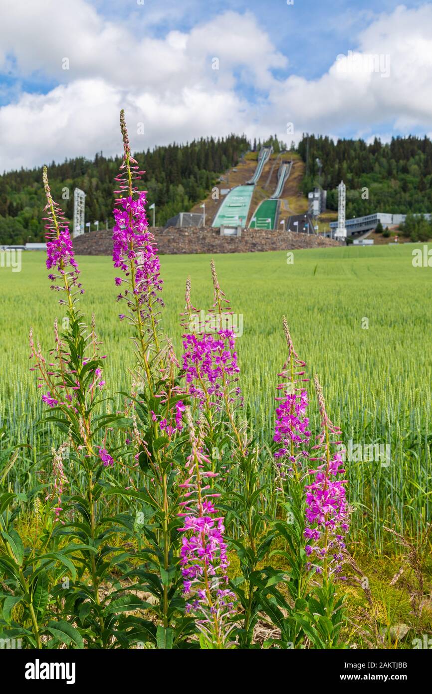 Famosa arena per il salto con gli sci Olympiapark Lillehammer in Norvegia, conosciuta come Lysgardsbakken, aperta nel 1994, in particolare ai XVII Giochi Olimpici invernali. Foto Stock