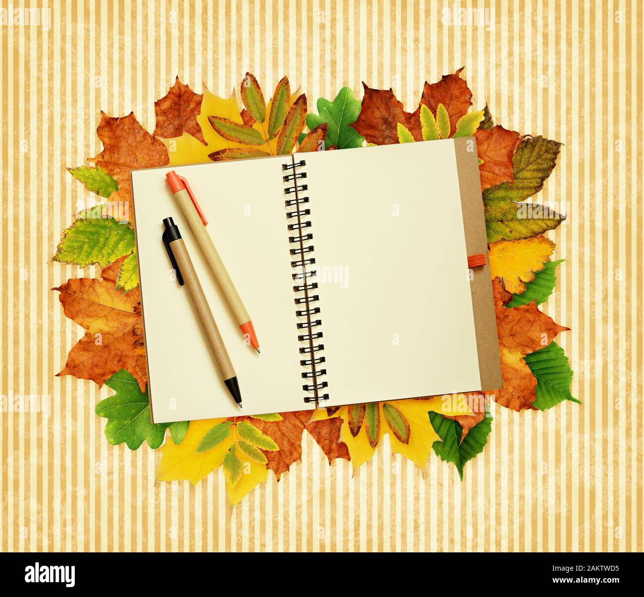 Notebook e penne a secco su foglie di autunno il telaio e lo sfondo a strisce Foto Stock