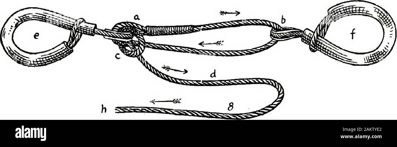 Moderazione di animali domestici; un libro per l'uso di studenti e professionisti; 312 illustrazioni da disegni a penna e 26 la metà dei toni di fotografie originali . Fig. 81. Croce inglese Hobbles.. Fig. 82. James Cross Hobbles. sono per uso su gambe opposte soltanto. Le illustrazioni. Le figure81, 82 e 83, sono autoesplicative. Basti dire che theseappliances sono utili e preziosi dispositivi ausiliari di moderazione nel Foto Stock