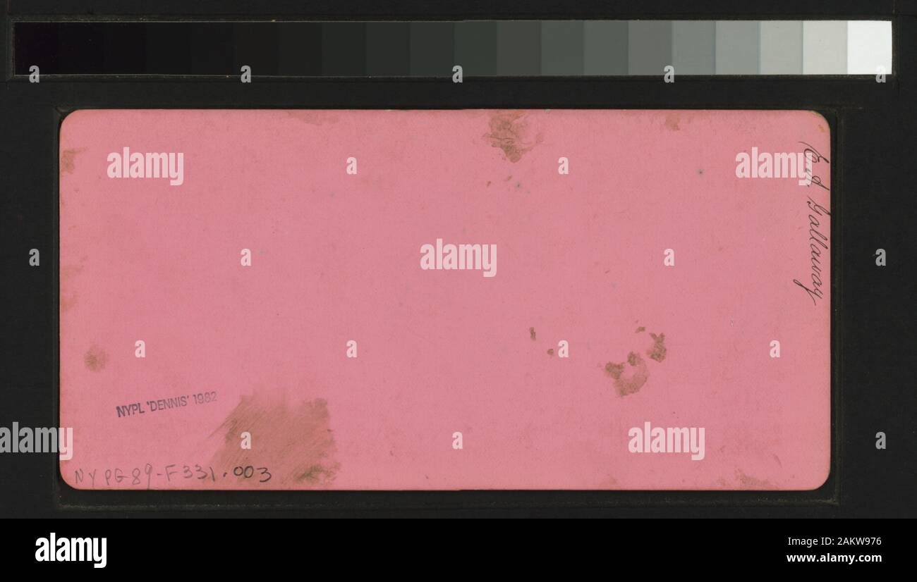 Residenza del signor Atherton, Menlo Park dalla Carleton E. Watkins.; Residenza del sig. Atherton, Menlo Park. Foto Stock