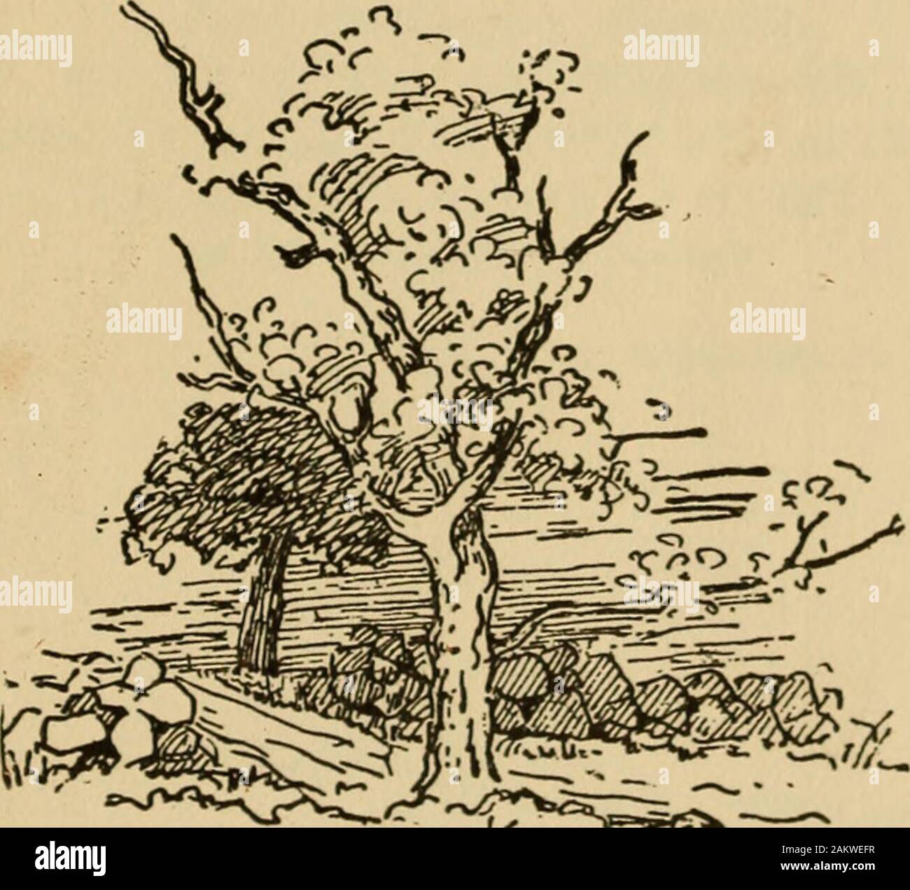 Foglie di autunno . Queste poche canzoni che ho molto cordialmente dedicare al mio piccolo nipote, che io amore fino e dopo le stelle di svanire e impostare in un susseguirsi di eternità. FANNIE J. GREENAWALT. Foto Stock