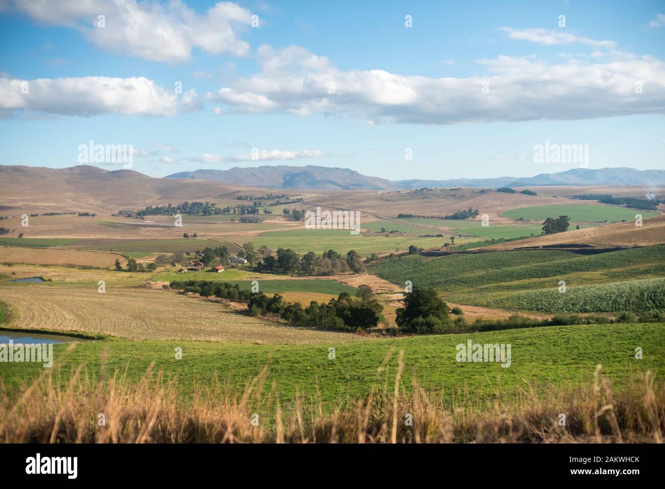 Paesaggio di fattoria con colline in esecuzione con nuvole che si librano all'orizzonte Foto Stock