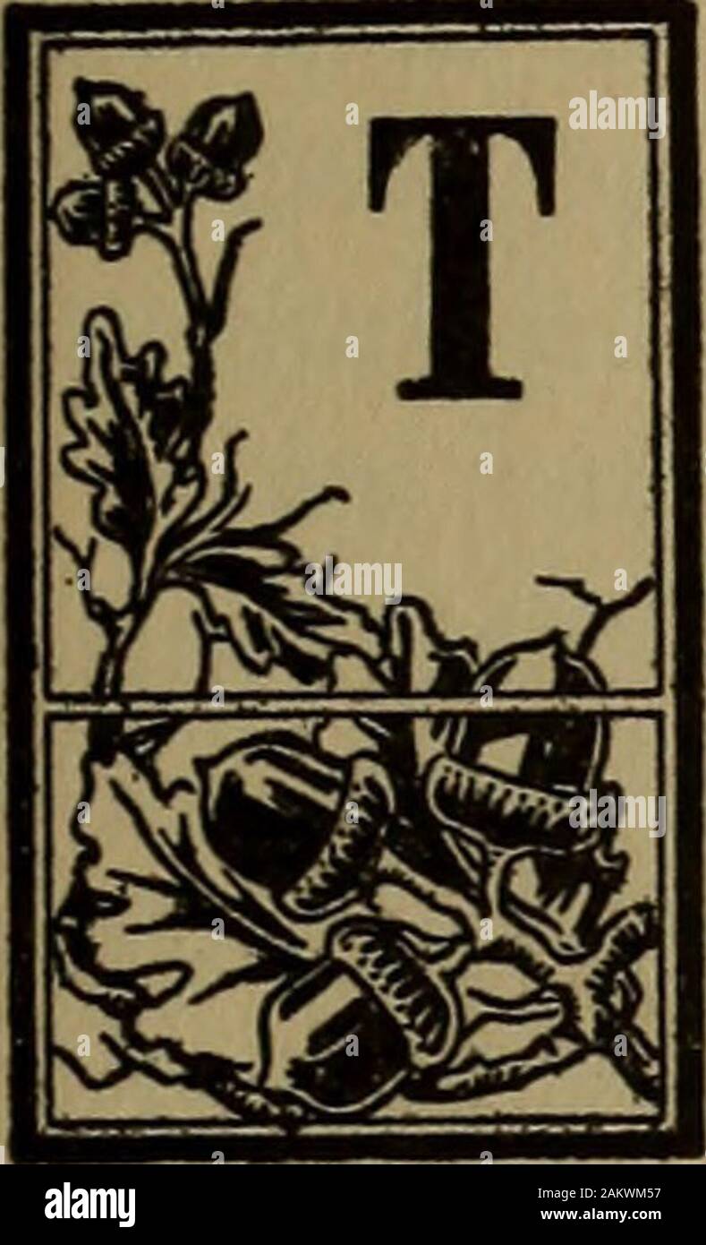 Dalla morte alla vita; . ificant dream.pensava che il Signore Gesù è venuto ed è stato a herdoor. Ella corse incontro a lui, ma qual era il suo sgomento pertrovare che egli era stato nel suo salotto e le raccolte togetherthe bella ma cose inutili con cui è stato dec-orated, e ne fecero un mucchio su un lato di theroom; e sul lato opposto è stata una lunga fila di starv- 147 dalla morte alla vita ing nazioni bambini e stirando le loro mani per aiutare!aveva paura di incontrare i suoi occhi e come essa stava trem-bling e vergogna davanti a lui, egli disse gentilmente: *Youwill essere salvati, ma non avrete un abbondante en-tranc Foto Stock