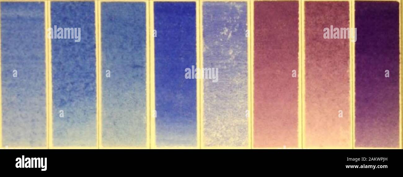 Un libretto di istruzioni descrittive di acqua moderni pigmenti di colore illustrata con settanta-due lavaggi di colore sapientemente graduate a mano su carta da filtro Whatman la carta di disegno : con un saggio introduttivo sulle recenti color acqua polemiche. . ^ PlATI* lavaggi di acqua moderni colori. Il cobalto. Blu. BUI FRANCESE *M* PFAWANf WRMAN UVC Foto Stock