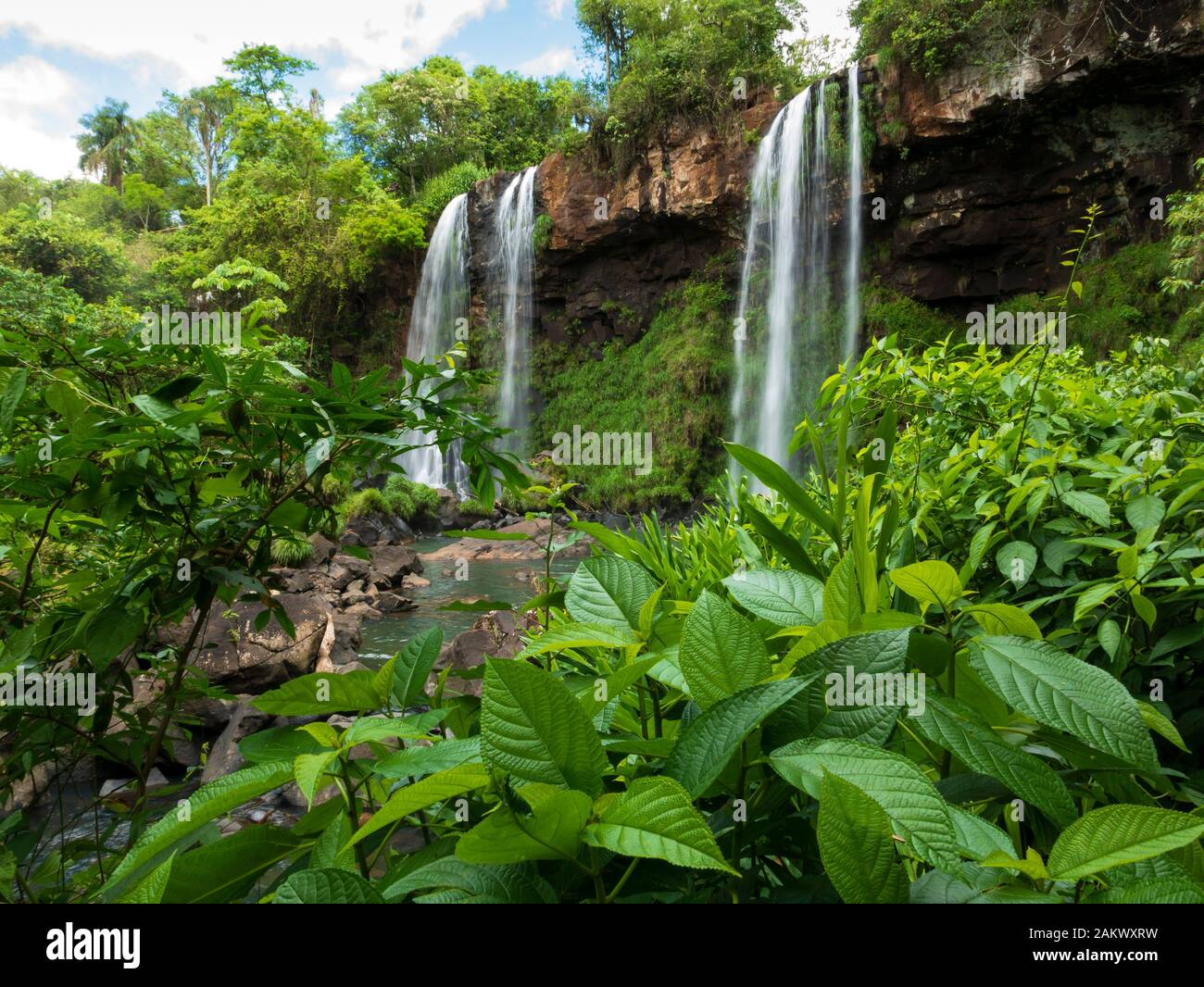 Iguazu Falls (cascate Iguacu) come si vede dall'Iguazu Falls National Park, Argentina. Foto Stock