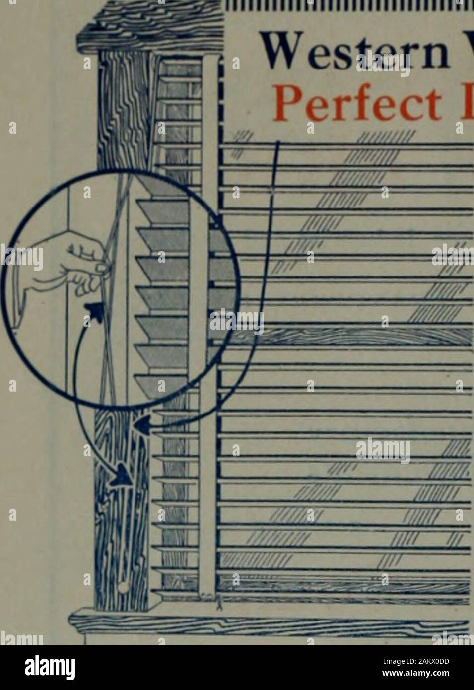 L'architetto e ingegnere della California e la costa del Pacifico . effetti unici. La piena dimensione campione inviato su richiesta. La produzione di grandi dimensioni-prezzi attraenti-PROMPT CONSEGNE Livermore fuoco Mattone opere Livermore. I rappresentanti della California a San i-rancisco e scambi di Oakland Wlirn wrillni lo ArlvrrllxTd i)liaiM mKnllon lhl" m*r*iln" 20 L'architetto e ingegnere IIIIIIIIIIIIIIMIIIIIIIIIIIIMIIIIIMIIIIIIIIIIIIIIIIIIMIIIIIIIIIIIIIIIIIIIIIIIIIIIIIIIIIIIIII^ Western Veneziane ^^•g |Perfetta luce e ventilazione | •yHE stecche possono essere regolate | -• per qualsiasi angolo, fornendo S luce dell'intensit esatta Foto Stock