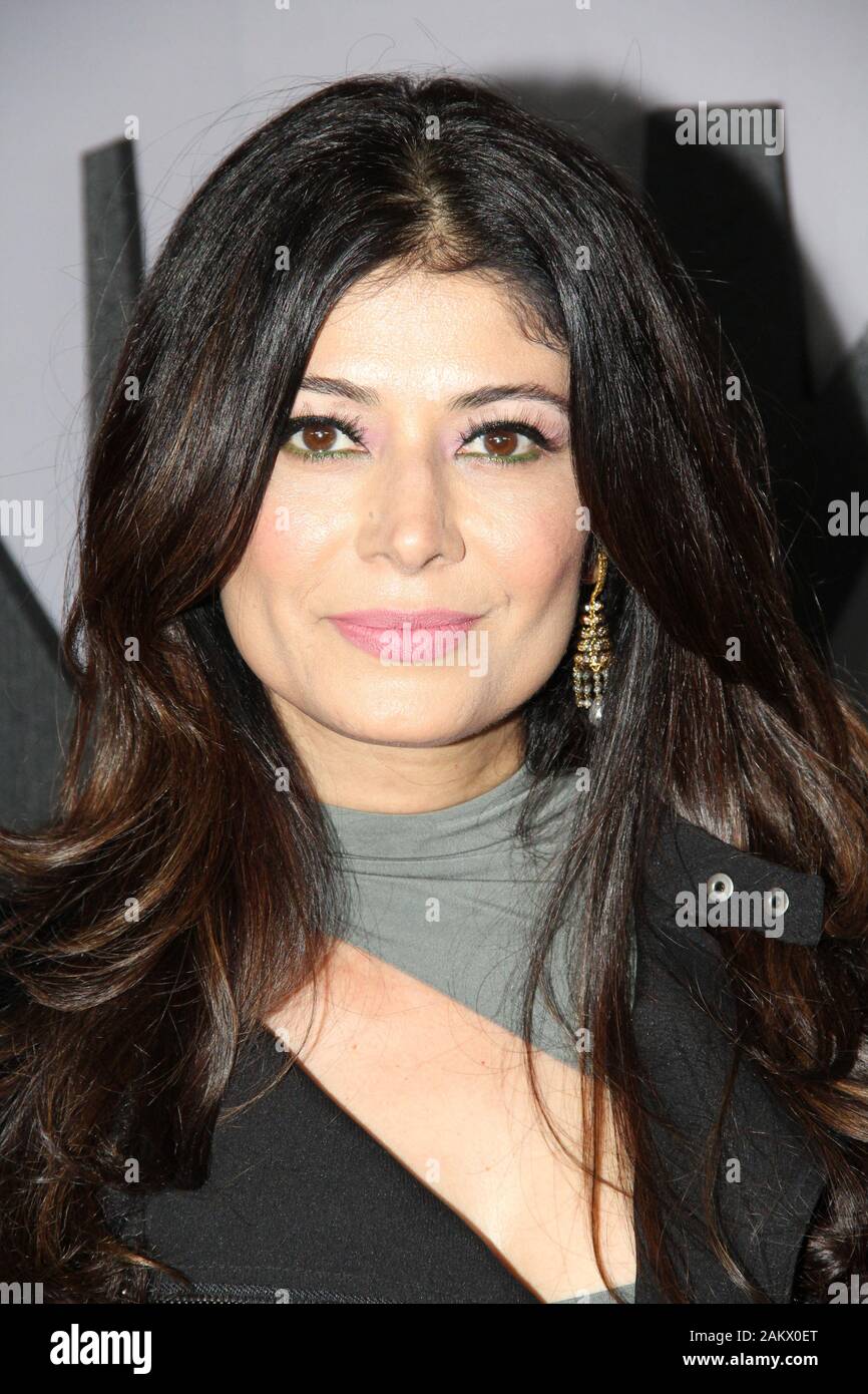 Los Angeles, Stati Uniti d'America. 9 Gen, 2020. Pooja Batra a HBO la serie Premiere di "outsider". Tenuto presso la DGA Theatre di Los Angeles, CA, 9 gennaio 2020. Foto: Richard Chavez/PictureLux Credito: PictureLux/Hollywood Archive/Alamy Live News Foto Stock