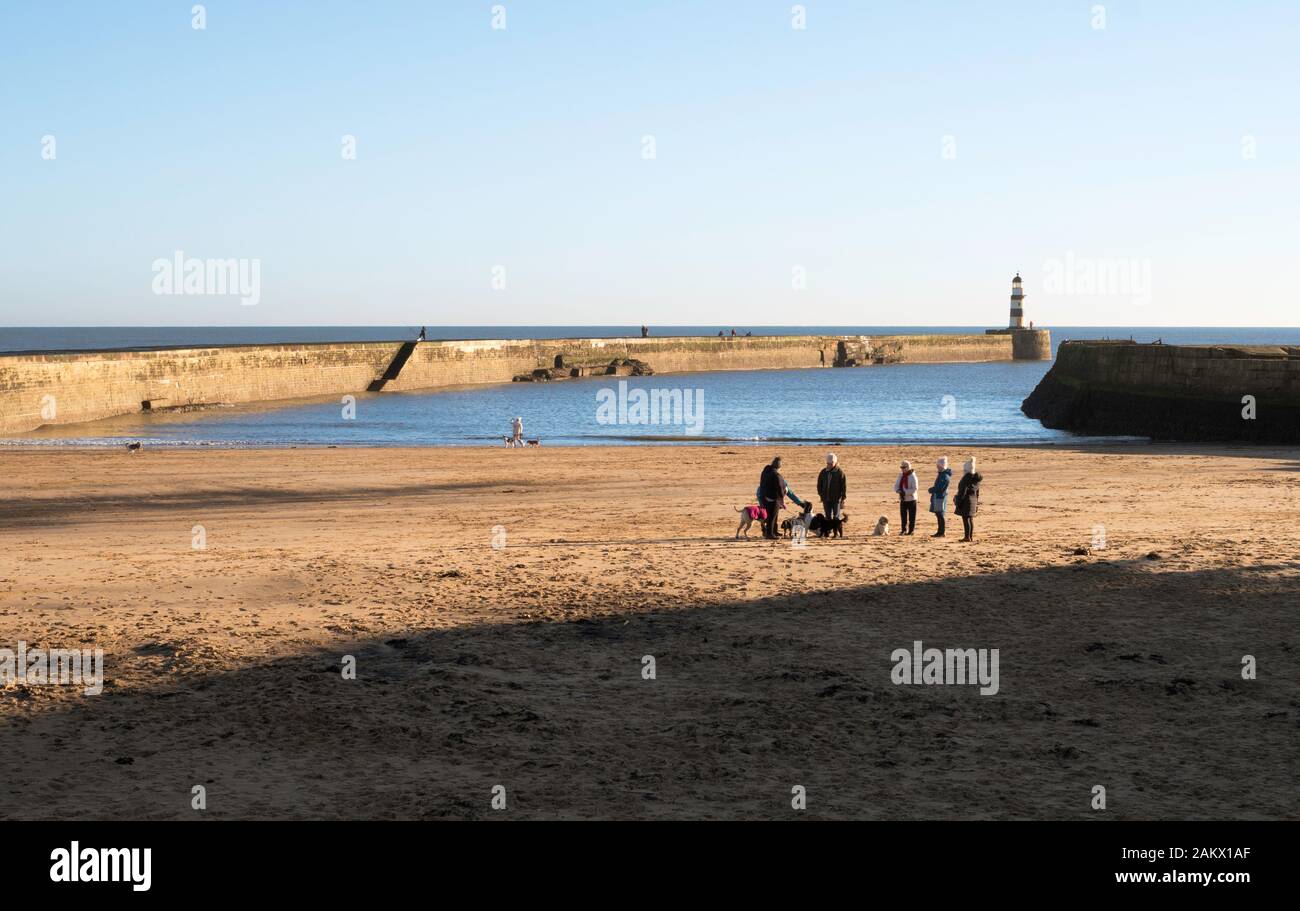 Un gruppo di persone con i cani sulla spiaggia di pendenza con il molo nord dietro, Seaham Harbour, Co. Durham, England, Regno Unito Foto Stock
