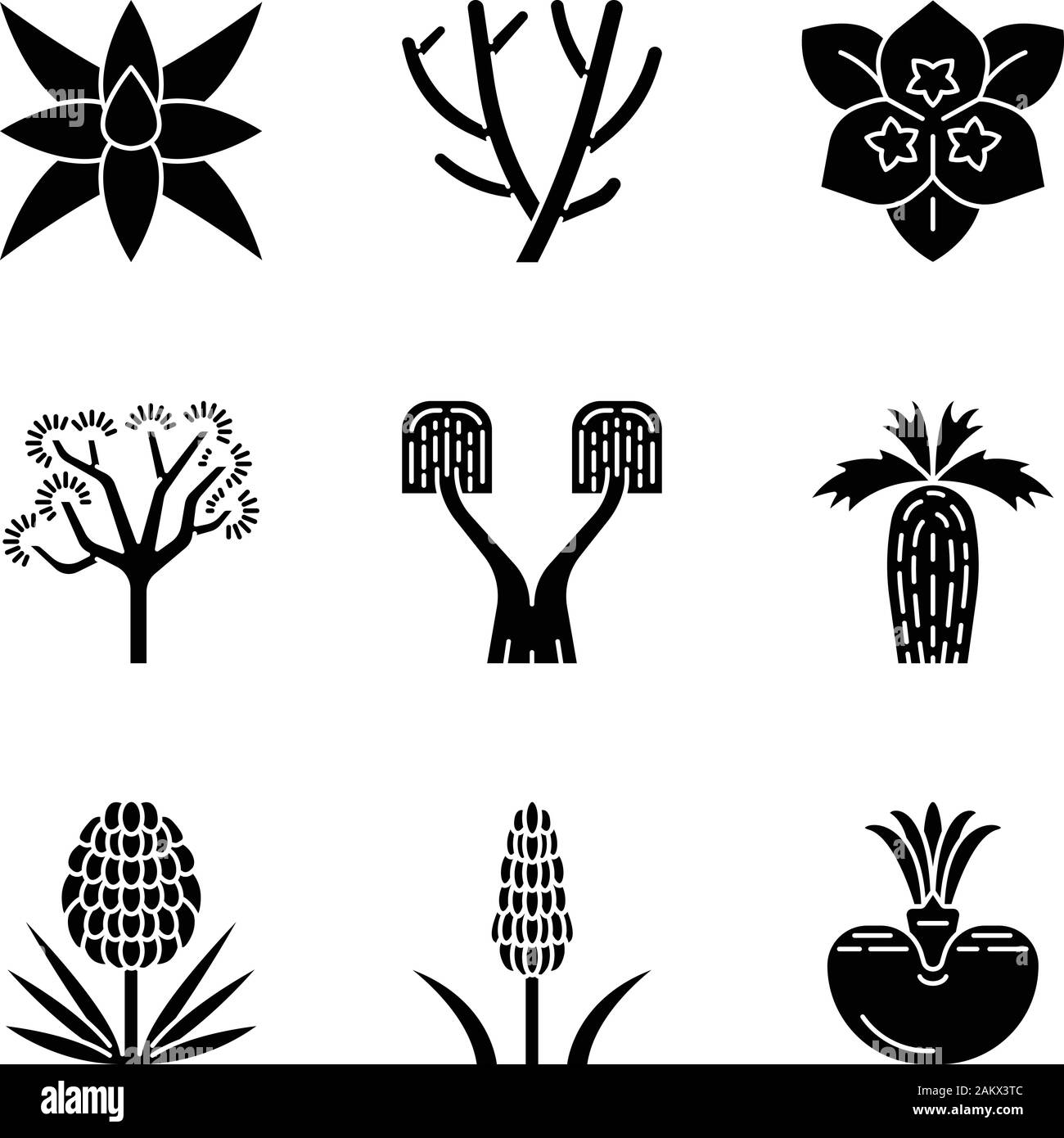 Le piante del deserto glifo set di icone. Flora esotica. Yucca, cactus, palme, agavi, bush. Siccità decorativo piante resistenti. Simboli di Silhouette. Isolat di vettore Illustrazione Vettoriale