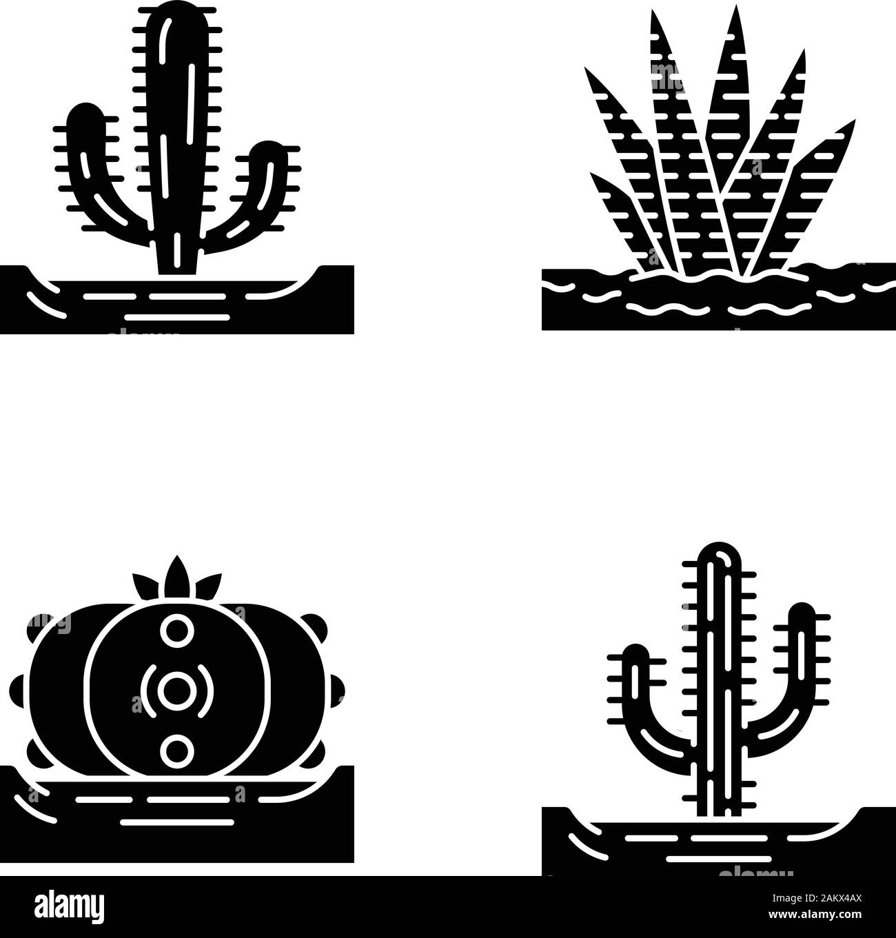 Wild cactus nella massa di glifi set di icone. Succulente tropicali. Piante spinose. Messicano, gigante Saguaro, peyote, zebra cactus. Simboli di Silhouette. Vettore i Illustrazione Vettoriale