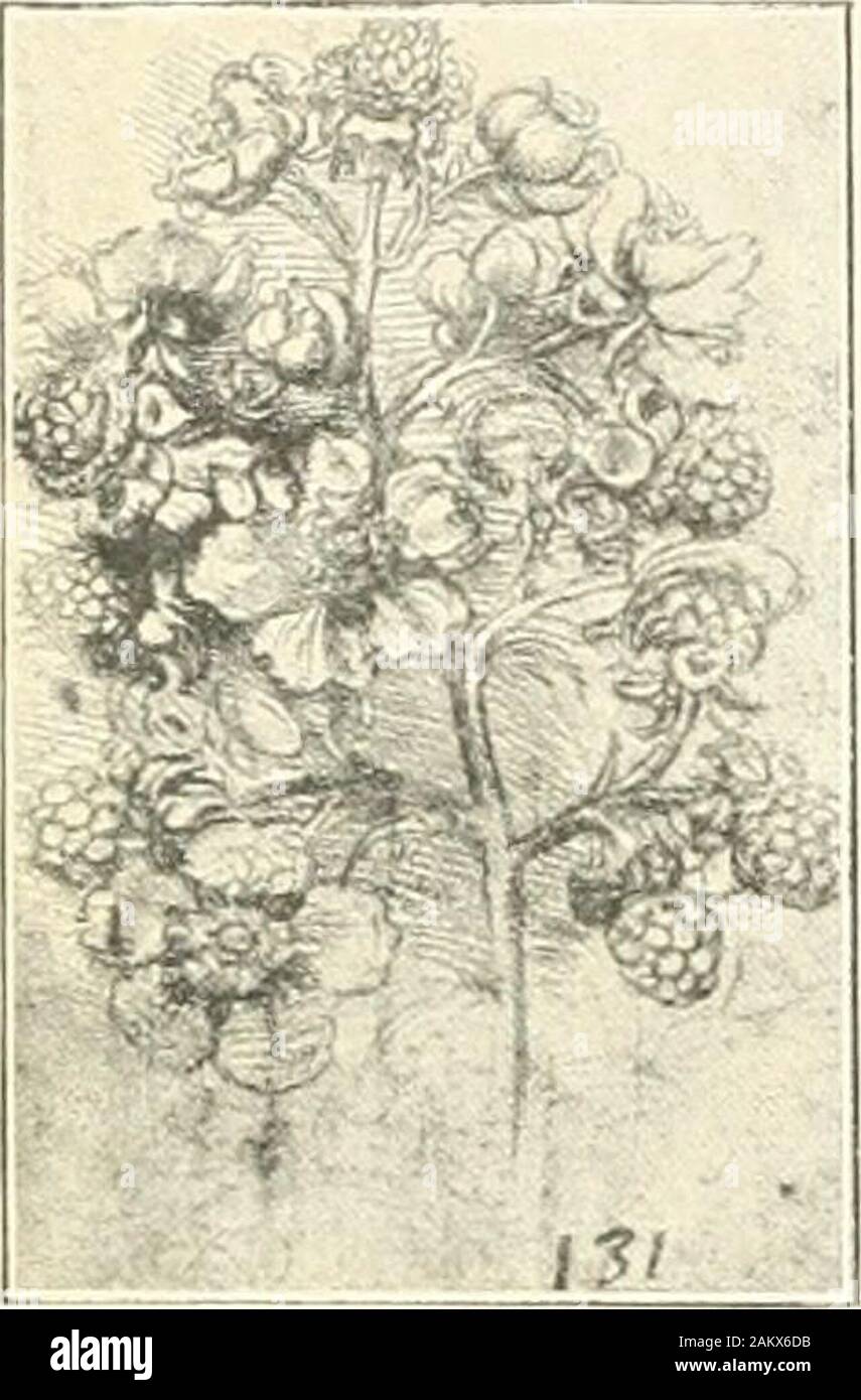 Leonardo da Vinci, artista pensatore e uomo di scienza; . le che Leonardo ex-plored il piemontese delle Alpi,e soprattutto il Marchesato di Saluzzo ;ma le sue regioni preferite erano quelle aboutinformazioni Lago di Como. A partire da Lecco,ha utilizzato per rendere la sua via nella Brienzamountains. Essa è stata tuttavia ascer-tained che il suo informationabout geografica questi quartieri non è alwaysquite esatta. In tal modo egli asserisce che la fourchief fiumi che irrigano Europa-theRhine, il Rodano, il Danubio ed il Po-tutti hanno la loro origine inil piede di monte Boso (Monte Rosa).^ qualsiasi moderna scuola Foto Stock