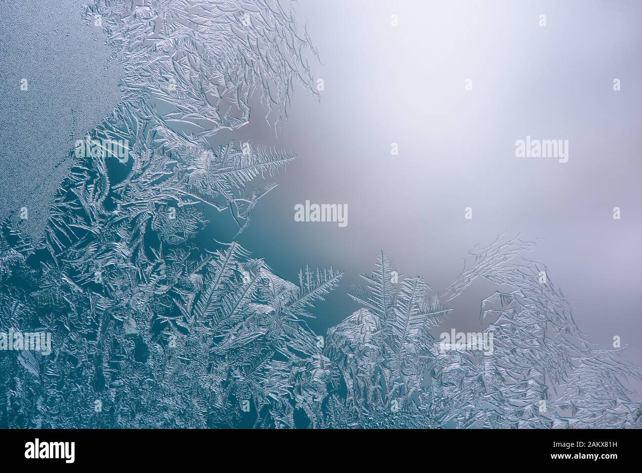 Cristalli di ghiaccio naturale ghiacciato sulla finestra, spazio per il testo. Riprese macro con profondità di campo poco profonda. Vetrine E Fiori Frost. Foto Stock