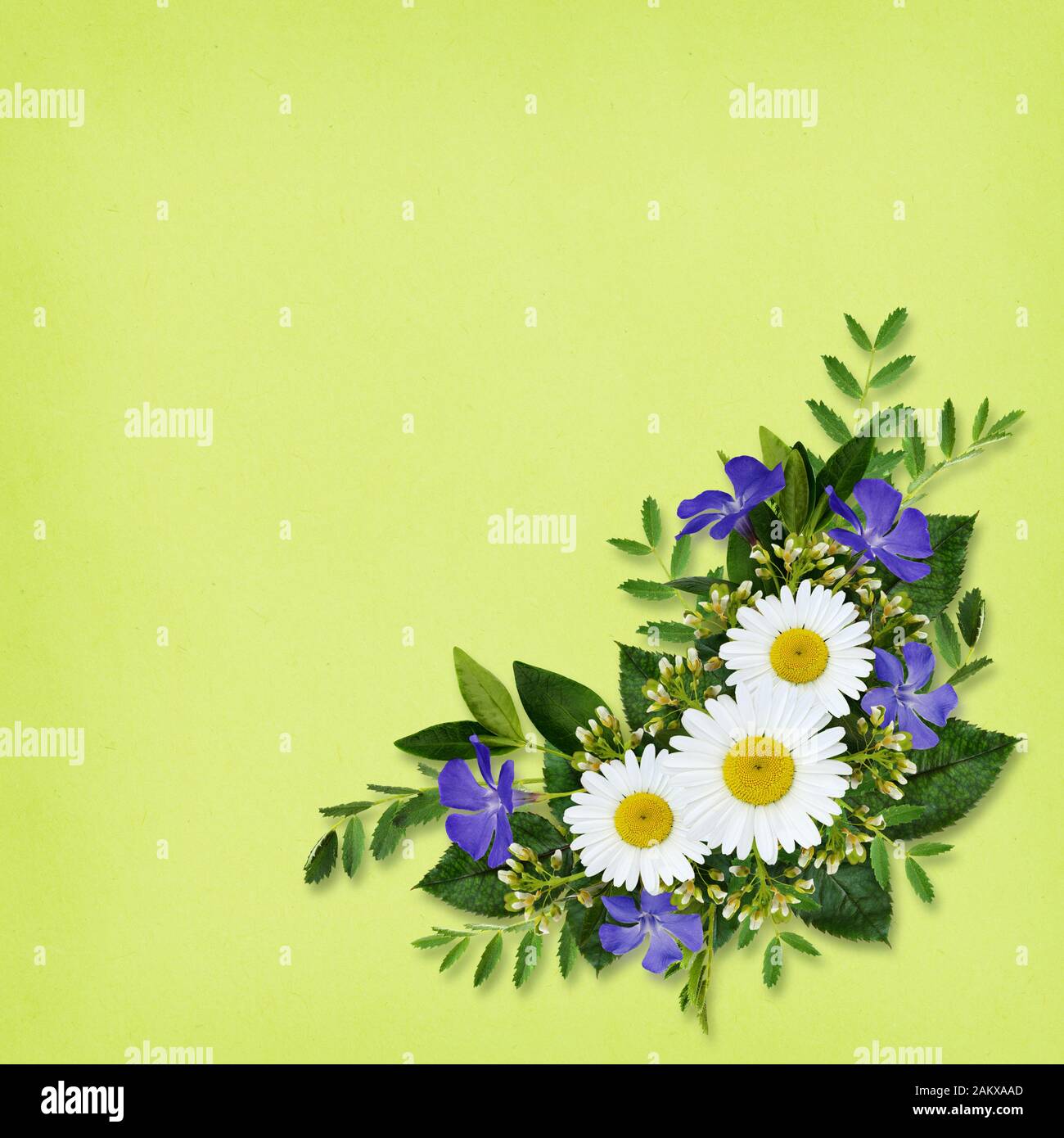 Bouquet di fiori selvatici su sfondo verde Foto Stock