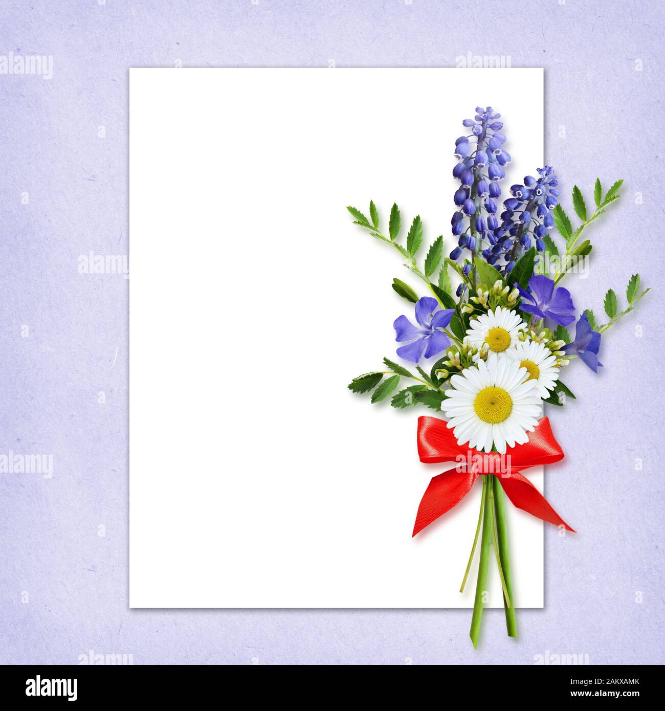 Bouquet di fiori selvatici su sfondo bianco e blu Foto Stock