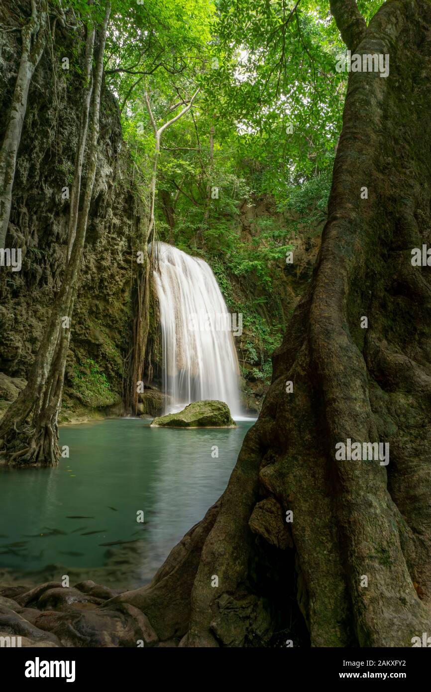 Pulite acque verde smeraldo dalla cascata circondata da alberi piccoli - grandi alberi, colore verde, Erawan cascata, la provincia di Kanchanaburi, Thailandia Foto Stock