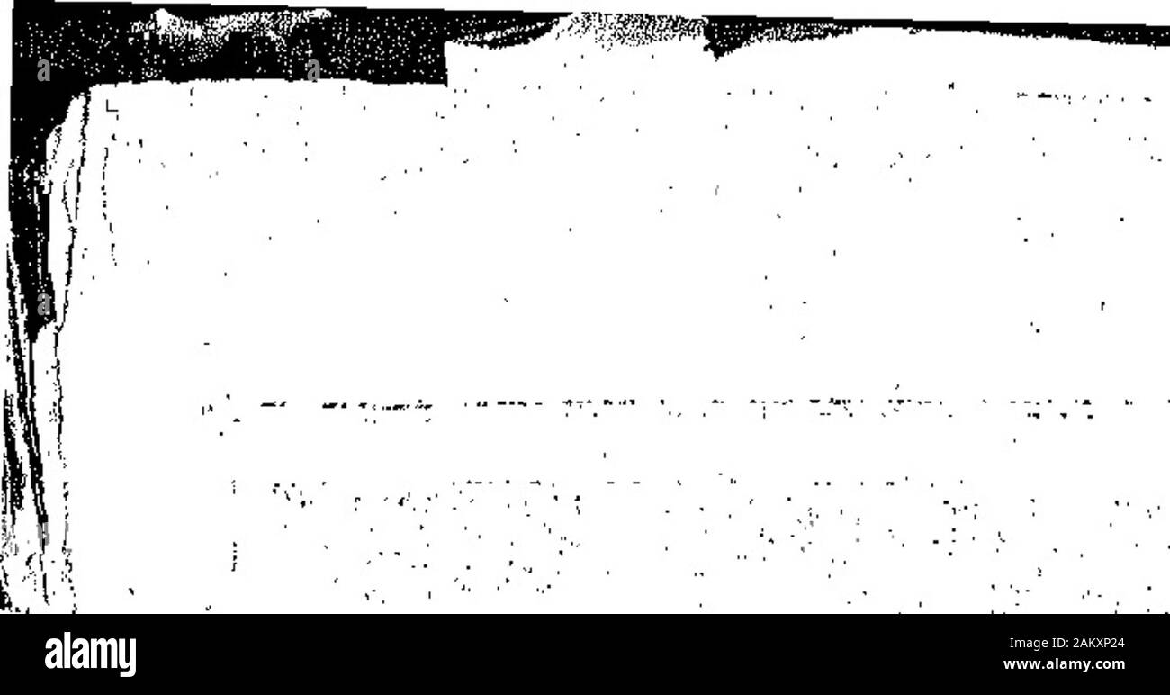 Il grido di guerra . WW** il grido di guerra. Il mondo e i suoi modi. ftohammed V. prende possesso. Il nuovo sultano di Turchia, Moham-med V., è stato formalmente posto sullato trono, molti curiosi ceremoniesmarking l'evento. Frequentato da theGrand visir, lo Sceicco-ul-Islam, themembers. dell'armadio, il chiefsof l'esercito, e gli altri funzionari, heproceeded alla Moschea Ayoub,? Egli • cinse con la spada di Osman.In corrispondenza della moschea, egli trasse la scimitarof bla antenato, Osinan I., il founderOf l'Impero Ottomano, da itssheath e, stando in squarein anteriore del gruppo di edifici,chiamato la porta sublime Foto Stock