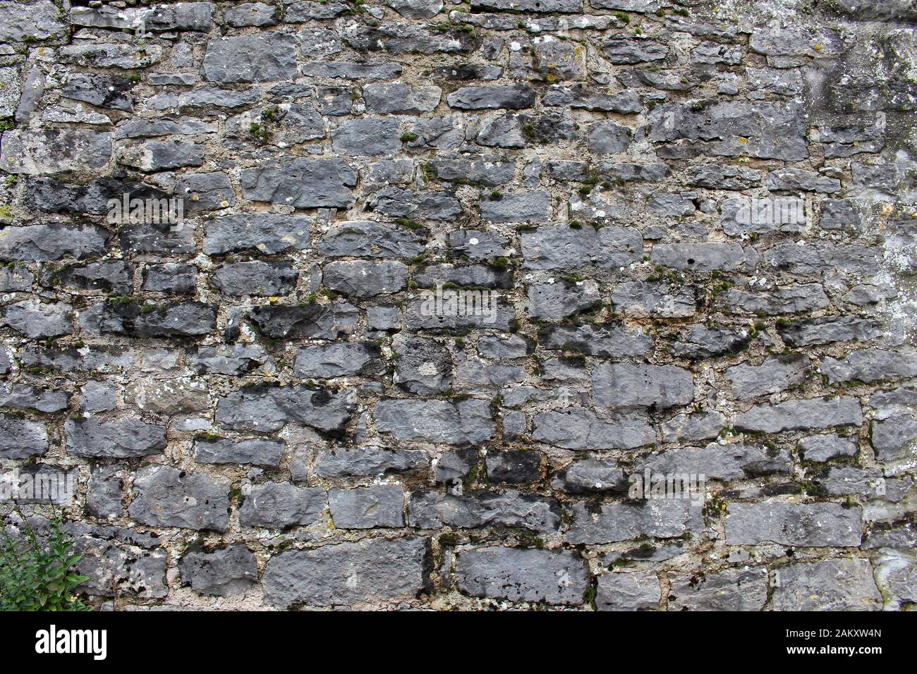 Vecchio muro di pietra ruvida con muschio per lo sfondo Foto Stock