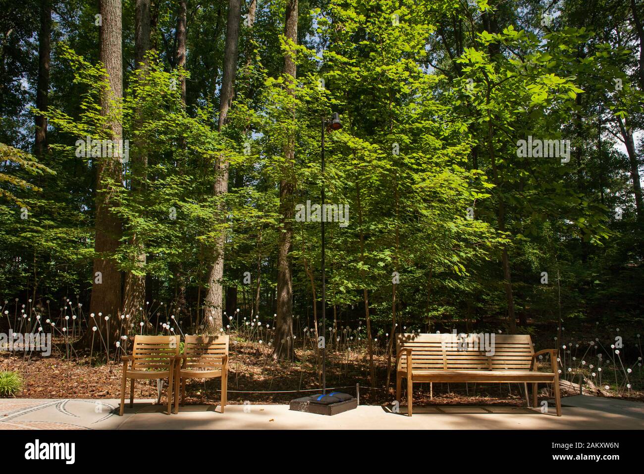 Due sedie di legno e un banco in Storza Boschi di Atlanta Giardino Botanico, Piedmont Park, Midtown Atlanta, Georgia, Stati Uniti d'America Foto Stock