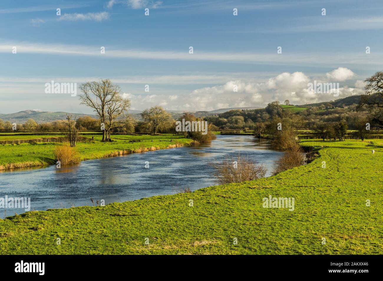 Guardando il fiume Tywi dal Dryslwyn Castle Bridge nella Tywi Valley, Carmarthenshire, Galles sud-occidentale. Una giornata luminosa e soleggiata e una bella giornata. Foto Stock