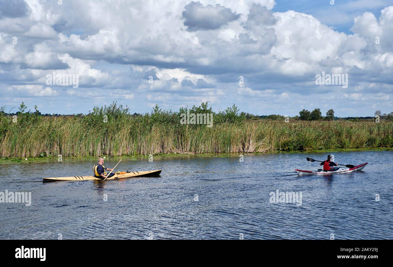 Canoa insieme in ambiente naturale con un sacco di reed. Foto Stock
