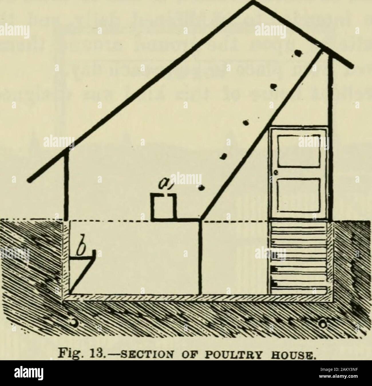 I profitti nel pollame : utile e razze ornamentali e la loro gestione redditizia . g. 12.-ESTERNO DEL POLLAME-casa. edificio, da cui gli uccelli possono raggiungere il roostingpoles. Al di sotto dei poli ci dovrebbe essere uno spiovente di par-tition, su cui la pollina può raccogliere e slidedown alla tavola a piedi già menzionato. Da questo?^hey dovrebbe essere spazzato via ogni giorno e portato via.Per impedire la pollina da aggrappati alla partizione,che dovrebbe essere ben spolverato ogni giorno con intonaco asciutto, roaddust, o vagliato le ceneri di carbone. Sotto la plancia a piedi partizione letthe si estendono al pavimento, dividendo il Foto Stock