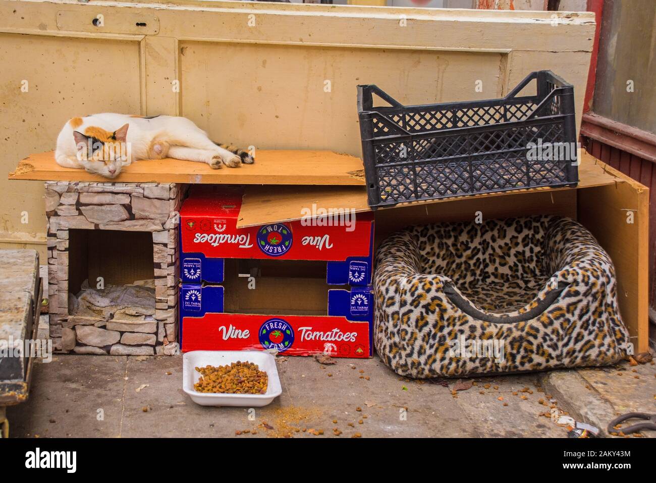 Istanbul, Turchia - Settembre 10th 2019. Un gatto dorme sul tetto di un rifugio di gatto costruito dalla gente del posto per i gatti di strada nel distretto di Ortakoy di Besiktas Foto Stock Istanbul, Turchia - Settembre 10th 2019. Un gatto dorme sul tetto di un rifugio di gatto costruito dalla gente del posto per i gatti di strada nel distretto di Ortakoy di Besiktas Foto Stock