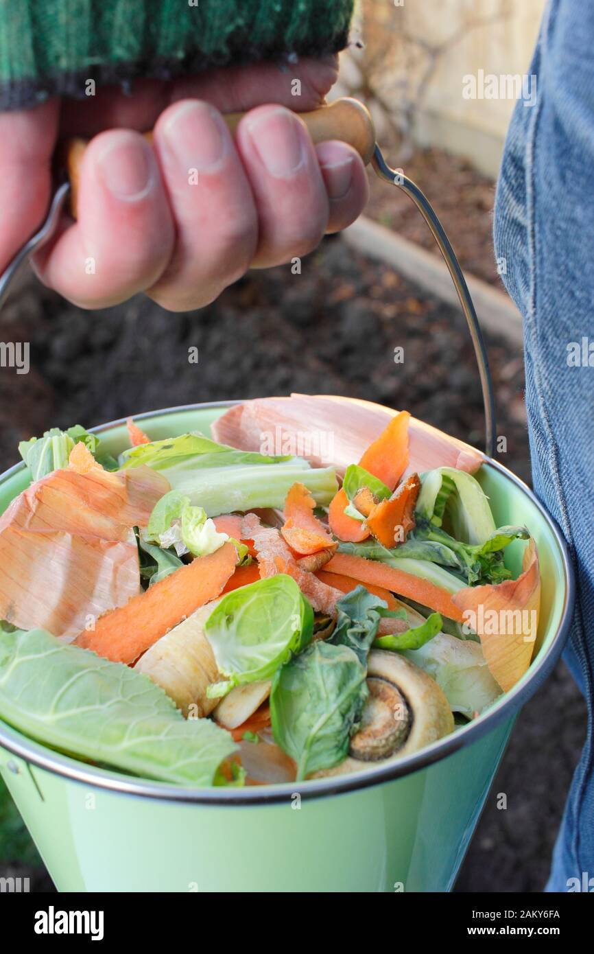 Rifiuti alimentari, come i peelings vegetali e di frutta, presi in un orto domestico per fare in compost. REGNO UNITO Foto Stock