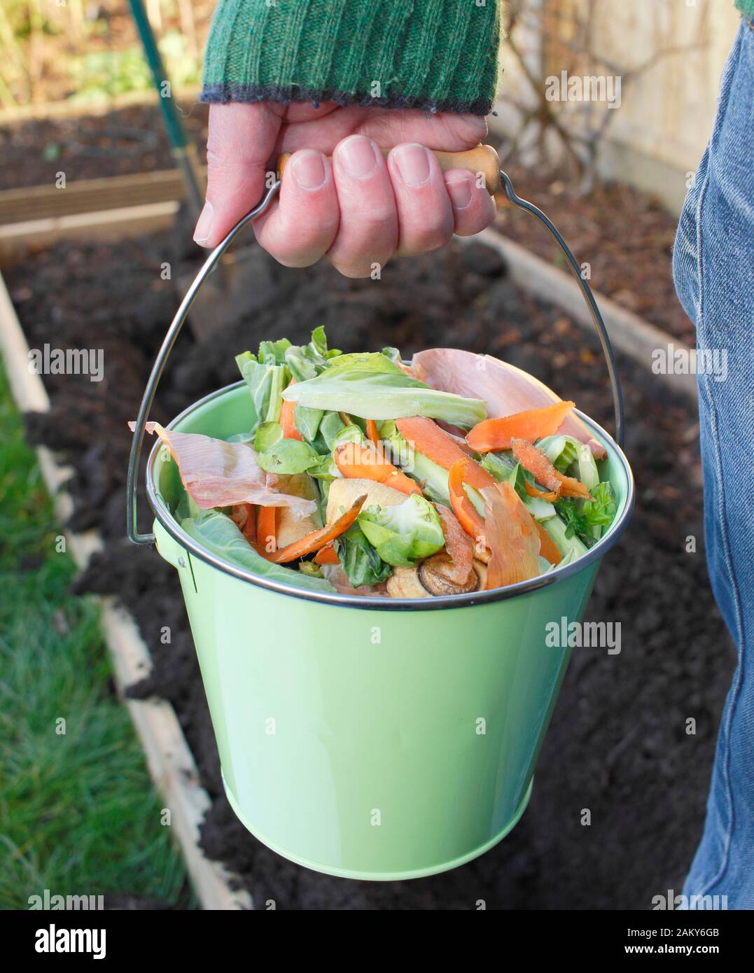 Rifiuti alimentari, come i peelings vegetali e di frutta, presi in un orto domestico per fare in compost. REGNO UNITO Foto Stock
