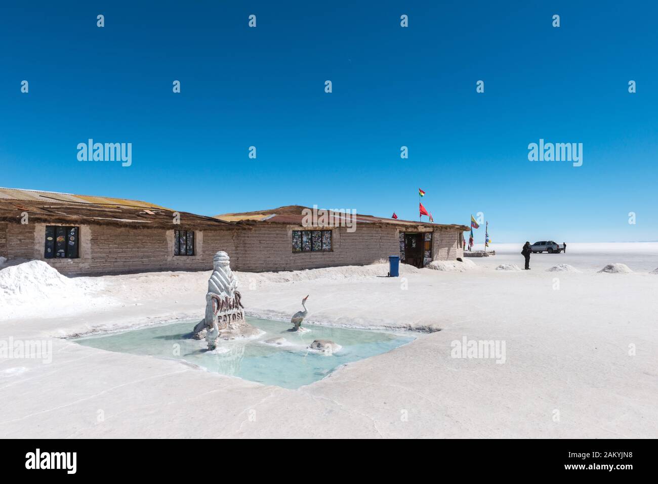 Il´s grande saltlake Salar de Uyuni, Dipartimento Potosi, Sud-Ovest della Bolivia, America Latina Foto Stock