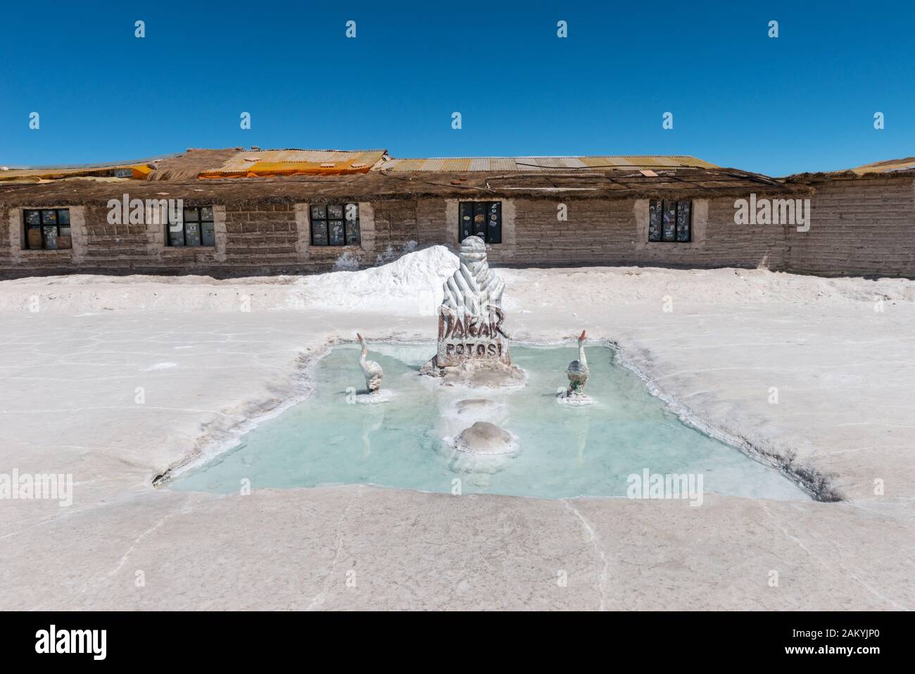 Il´s grande saltlake Salar de Uyuni, Dipartimento Potosi, Sud-Ovest della Bolivia, America Latina Foto Stock