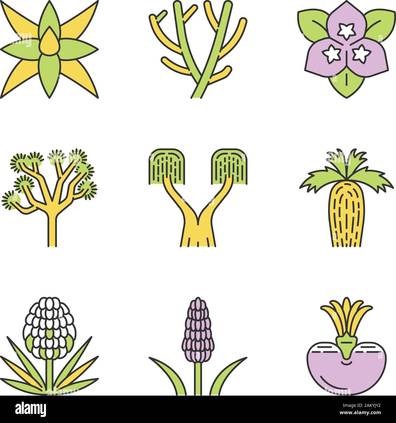Le piante del deserto le icone a colori set. Flora esotica. Yucca, cactus, palme, agavi, bush. Siccità decorativo piante resistenti. Isolato illustrazioni vettoriali Illustrazione Vettoriale