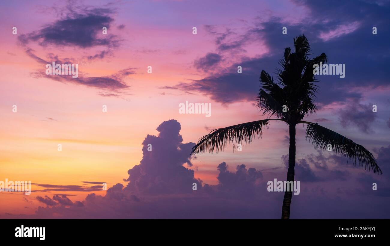 Vacanza tropicale sfondo vacanza, silhouette di palma su bellissimo tramonto a Bali, Indonesia. Foto Stock