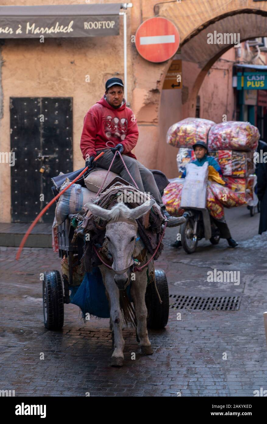 I Souks,Marrakech: asino Foto Stock