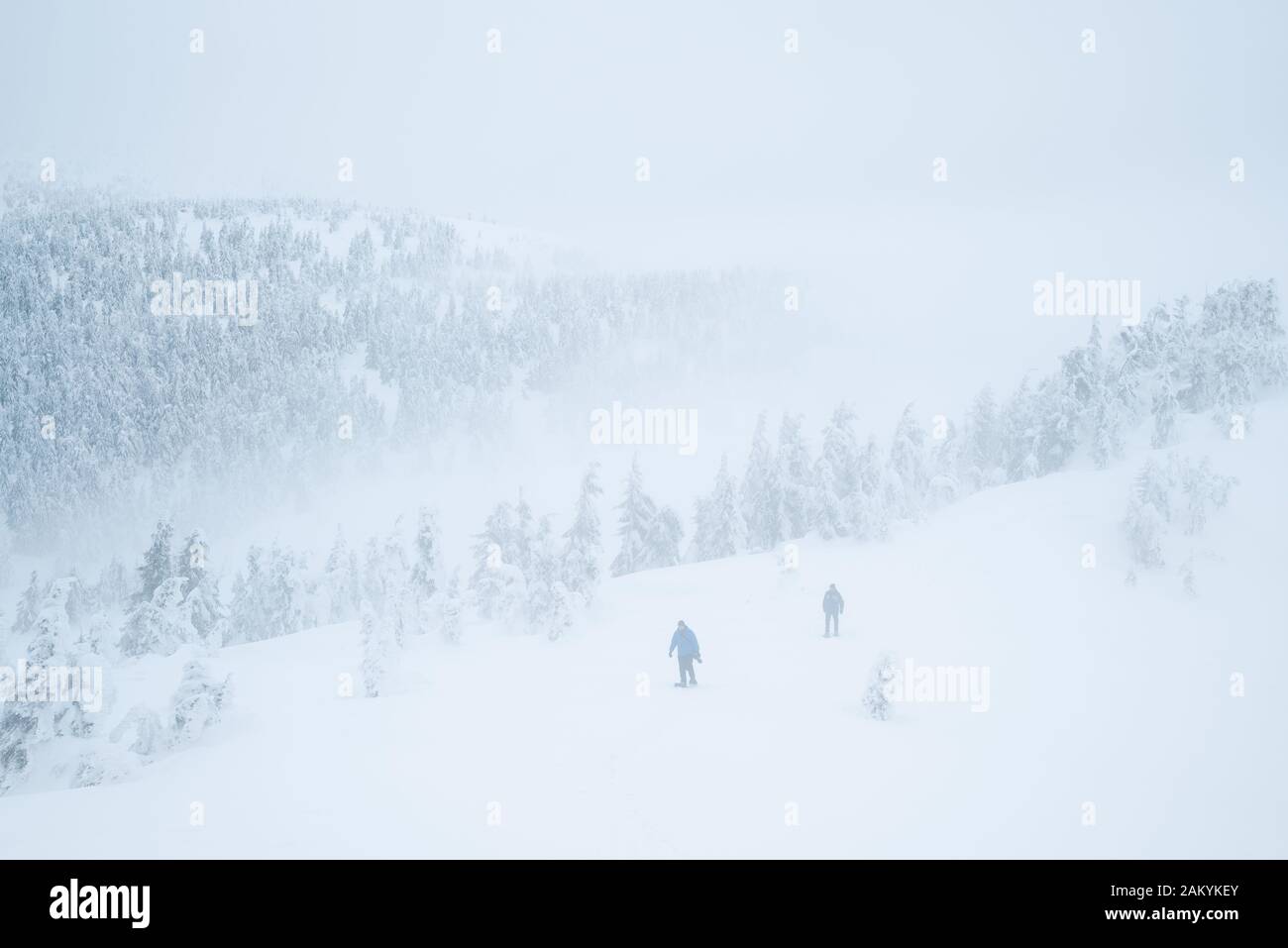 Turisti persi in un'escursione invernale in montagna. Brutto tempo invernale con nebbia e scarsa visibilità Foto Stock