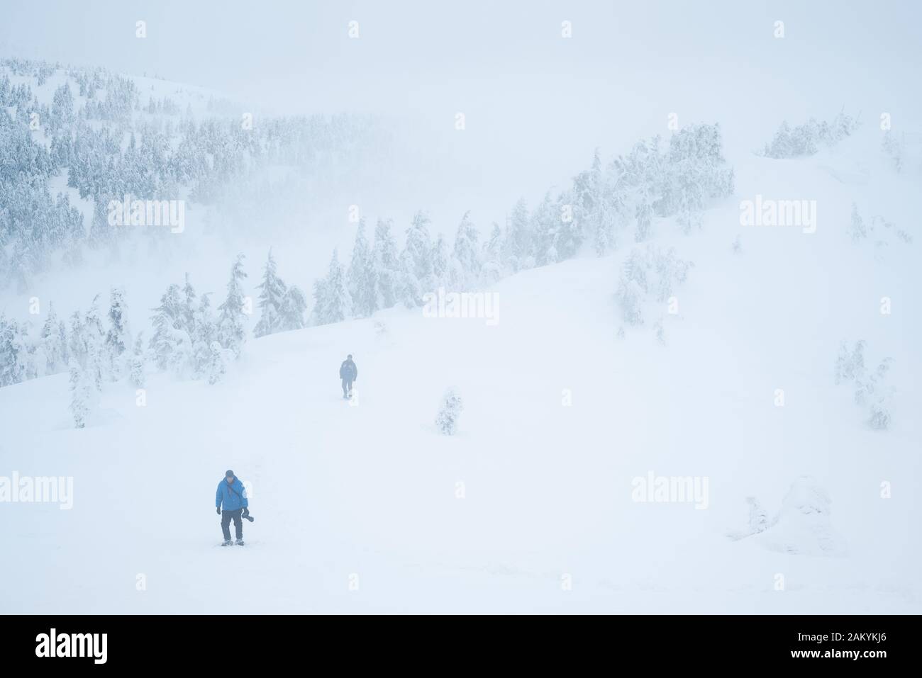 Pericolo di montagne invernali. Turisti persi nella nebbia. Maltempo con scarsa visibilità Foto Stock